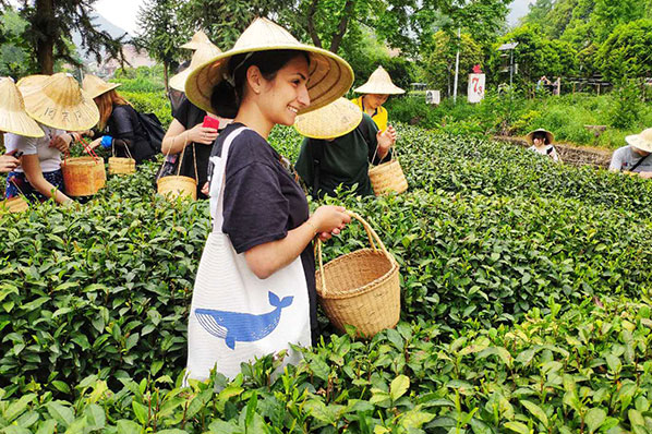 Silk Mandarin Chinese Tea Culture